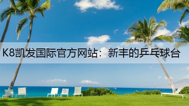 新丰的乒乓球台