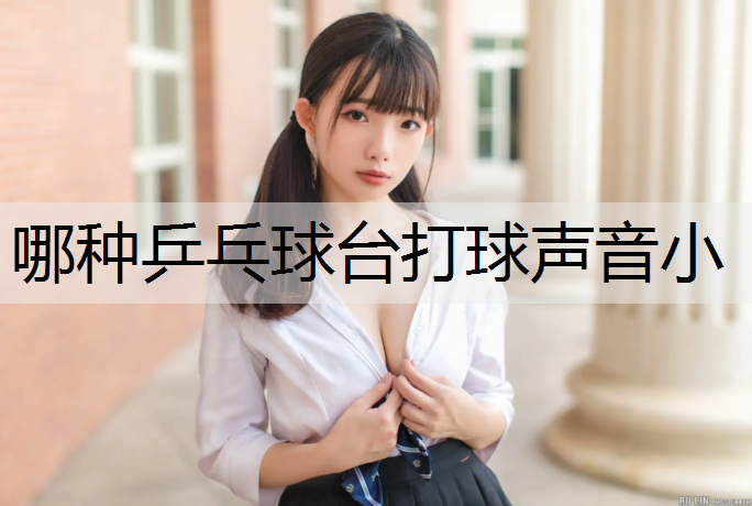哪种乒乓球台打球声音小